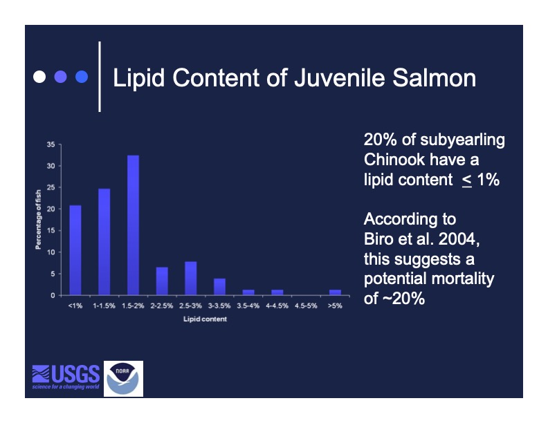 20% of sub-yearling Chinook have a lipid content less than 1%.  According to Biro et al. 2004, this suggests a potential mortality of 20%